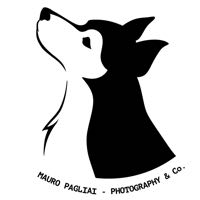 logo media partner
